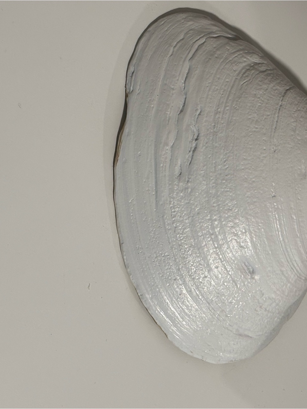 Decorative Hummingbird Clamshell - Picture 5 of 6